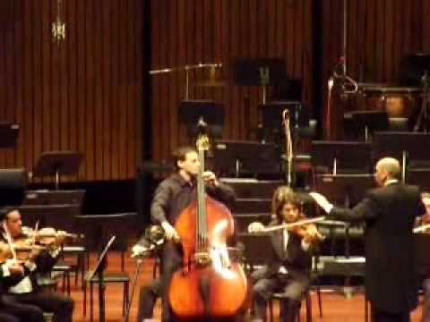 Vivaldi - Concert No.9 in D major - Ilko Rusev