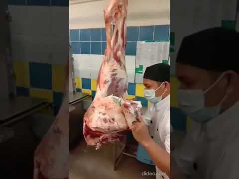 Beef Hind Quarter Breakdown @RDFS1