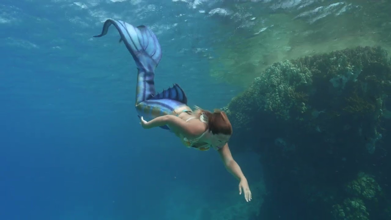 Promotional video thumbnail 1 for Mermaid Tasha LLC
