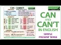 Can Can't Cannot | English Grammar Lesson | Learn English