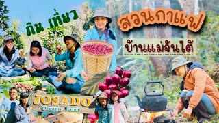 เรื่องราวชีวิตบนดอยกับพิมฮารุ EP.1 ตะลุยสวนกาแฟ ชิมกาแฟ Gesha ทำอาหารกินกลางป่าที่บ้านแม่จันใต้