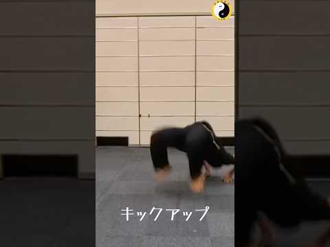 #林隆志 #自然門 #Ziranmen #CQC #近接戦闘 #崩し技 #体術 #護身術 #間合い #重心操作 #martialarts #selfdefense