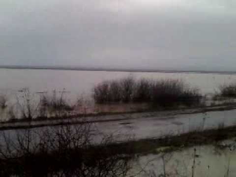 sanovita sub apa:)):))