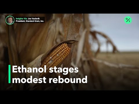 U.S. ethanol posts modest increase