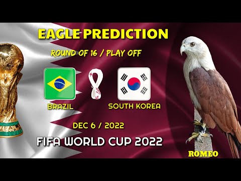 Brazil vs South Korea | Round of 16 | World Cup 2022 | Eagle Prediction