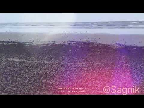 #beachside  #baguranjalpai #naturephotography #naturelovers #subscribe #like #share #youtubeshorts