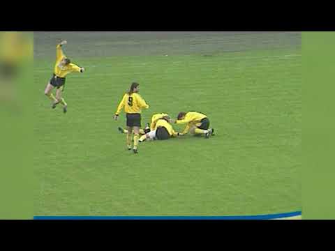 15/10/1995 Hradec Králové - Baník Ostrava 2-1