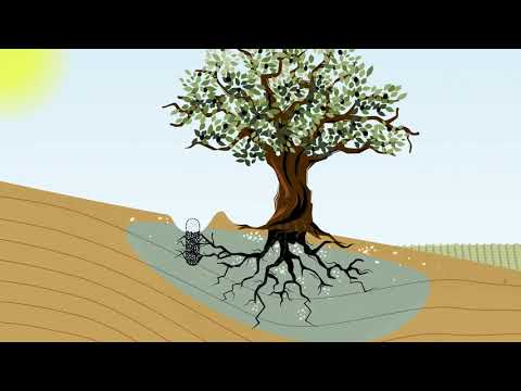 Fotograma del vídeo: Infiltrador