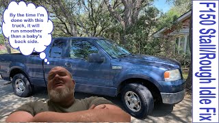 Stall No More - Fixing a Stalling/Rough Idle Issue on F150