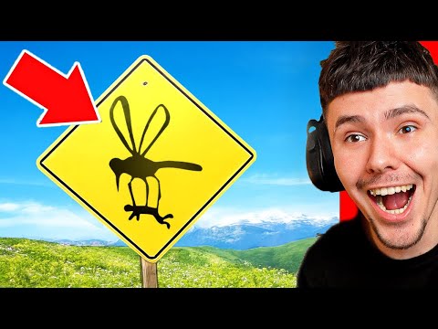 Cele Mai Amuzante Semne Din Lume! 😂