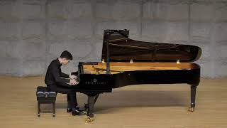 Download lagu Liszt Transcendental Etude No  5 'feux follets' mp3
