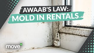 Awaab's Law: What Every Renter Needs to Know