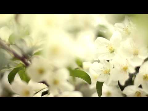 2015.04.16. JATE Progression