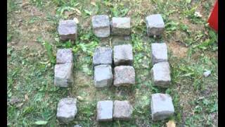 Daniel Savio - Lord Of The Flies