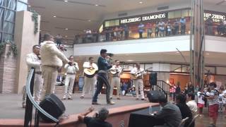 Manuel Noe - El Toro Serrano (Pepe Aguilar)