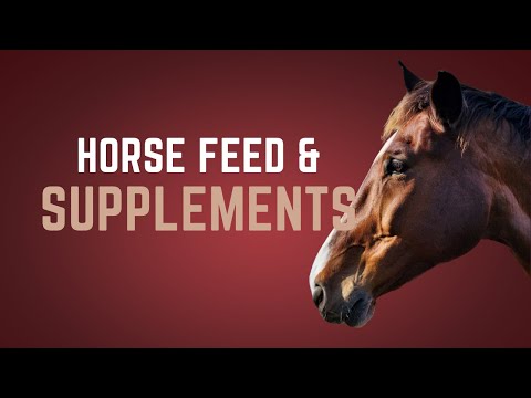 Horse Feed and Supplements