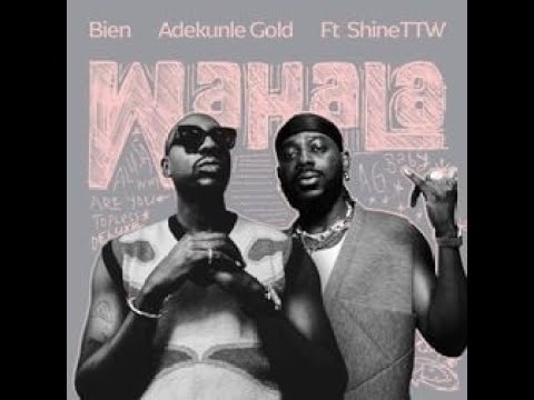 Bien Ft. Adekunle Gold & ShineTTW – Wahala (Official Lyric Video)
