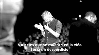 The National - Graceless - Subtitulada al Español