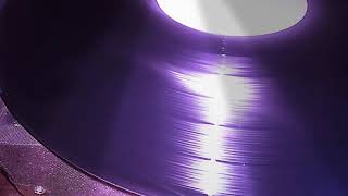 Donna summer cats without claws: Suzanna