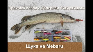 Ловля рыбы на мебару