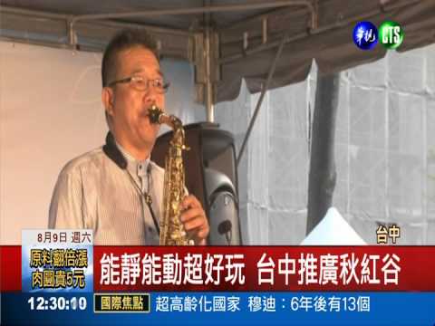 推廣觀光! 台中市炒熱秋紅谷