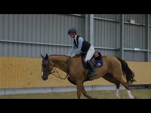 wkd hunter jumping