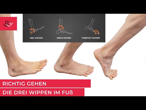 Richtig gehen - Die 3 Fußwippen als Schlüssel - Wertvolle Übungen inklusive