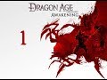 Let 39 s Play Dragon Age Origins Awakening Pc Espa ol C