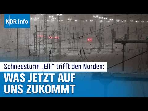 Unwetter‑Chaos durch Sturmtief "Elli": Schulen dicht, Bahnausfälle - Lage im Überblick | NDR Info