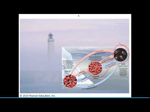 Earth Science Chapter 17: Moisture, Clouds, and Precipitation