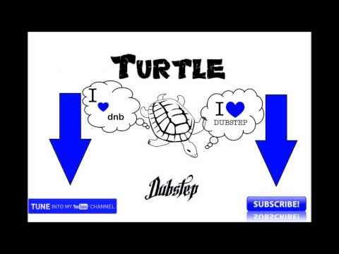 TurtleDubstep present: 303 Project feat. Stim Axel - Tishina