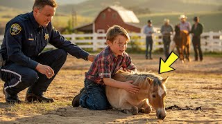 HOA Karen Gave Access to Hunters in My Ranch — They Sh0t My Son’s Trained Miniature Horse