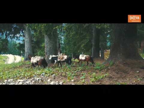 Sunder Konar Happy Trip - Manali