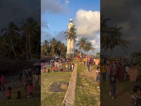 Day Trip to Galle: Unawatuna Jungle Beach, Galle Fort & Japanese Peace Pagoda 🌴✨
