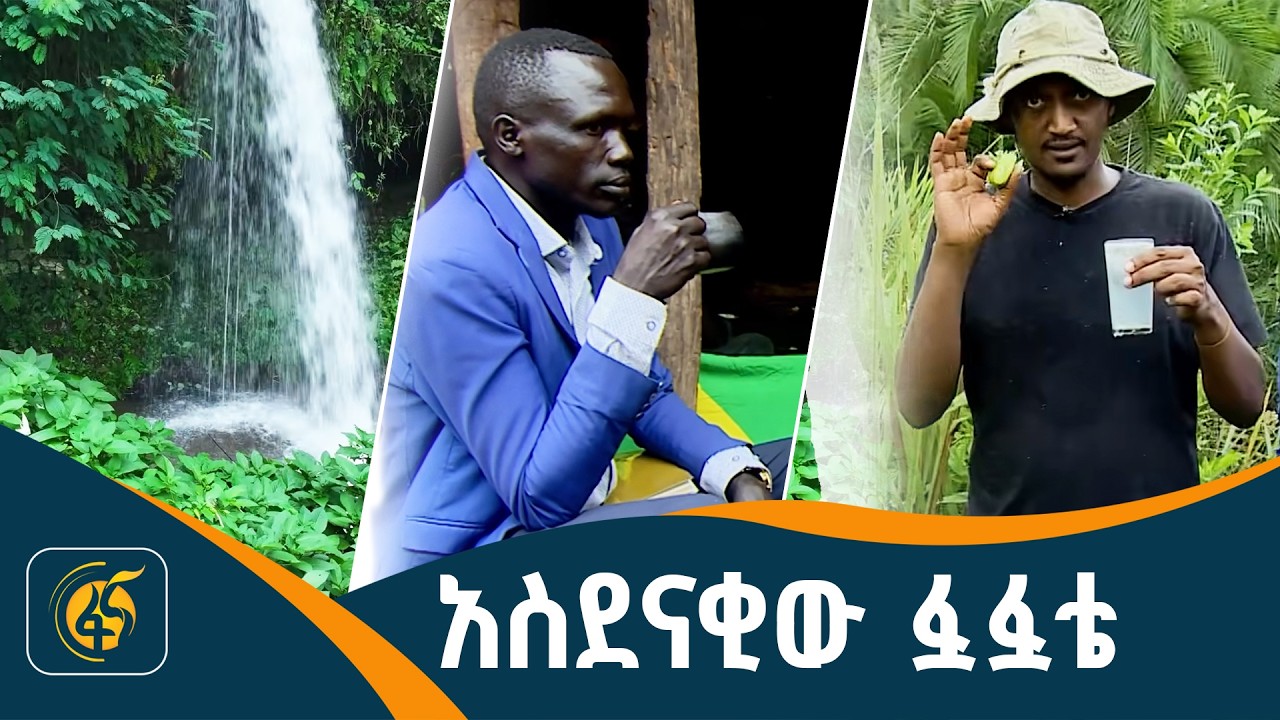 የመዠንግ ፀጋዎች