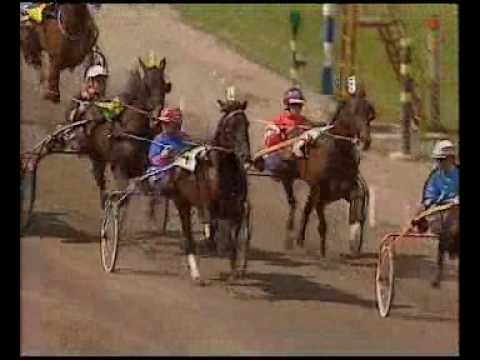 Elitloppet 1991 - The Elimination Heats