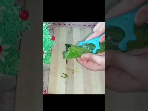 Home Remedy for Minor burns| Glam Rise