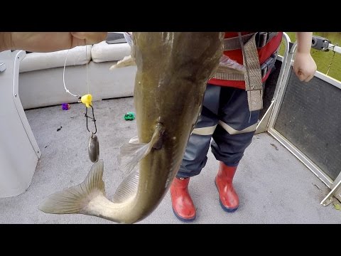 How to Catch BIG Catfish  - Baits, Rigging, Cast Net Tutorial, and Location (ft. Catfish and Carp)
