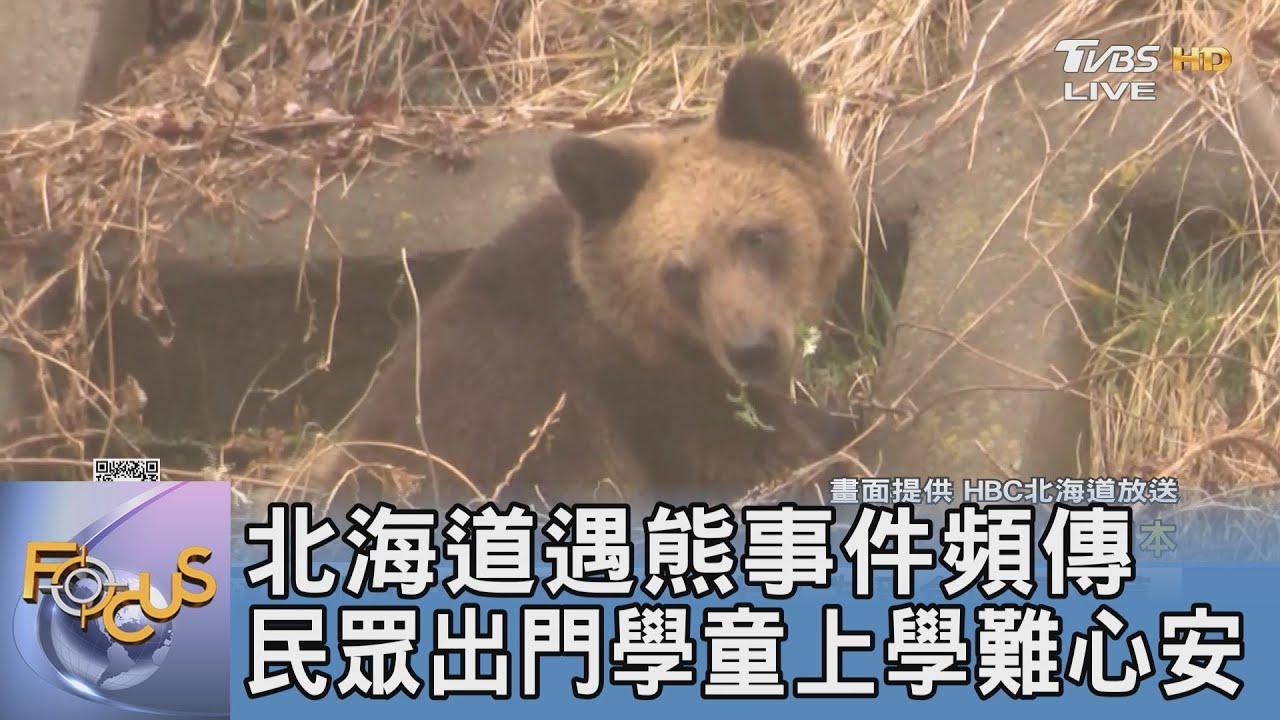 北海道遇熊事件頻傳 民眾出門學童上學難心安