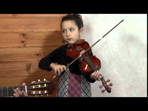 Asa branca-violino Catarina lima "CACA"