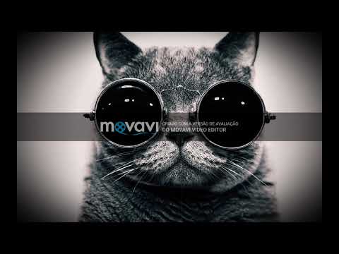 Luis Fonsi, Alan Walker - Despacito / Faded (feat. Justin Bieber, Daddy Yankee)