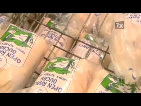 Disturbing footage prompts calls for duck farming changes