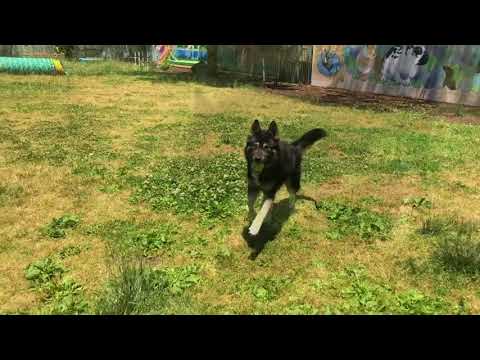 Fargo ACR 47002 HH 2018-05-31