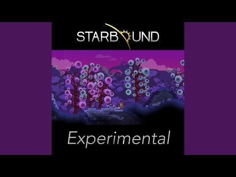 Video thumbnail for Desert Exploration 1