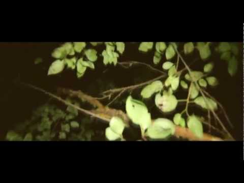 eRRdeKa x Janisis - BUNTES TREIBEN (Official HD Video)