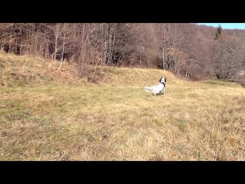 Tracy 26.12.12_ Viggiona