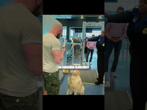 Этого пса не хотели пускать в самолет ✈️💔