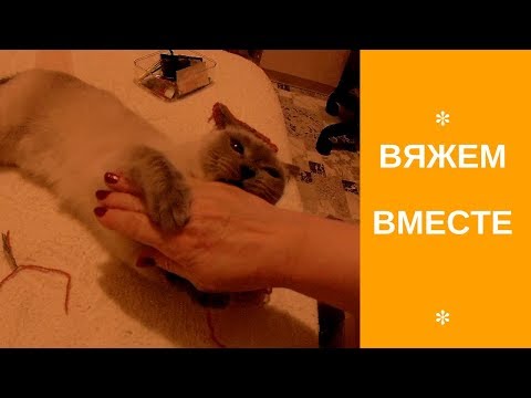 ВЯЖЕМ Вместе!