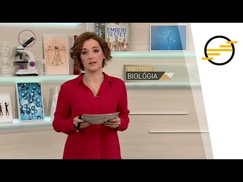 Érettségi 2018 – Biológia : A hormonrendszer