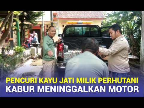 Pencuri Kayu Jati Milik Perhutani, Kabur Meninggalkan Motor